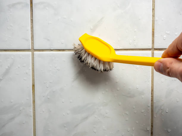 Best Toxic Mold Removal  in Cedarhurst, NY