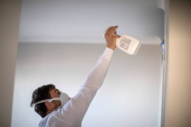 Best Home Mold Removal  in Cedarhurst, NY